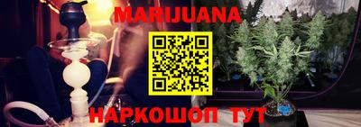 гидра Беслан