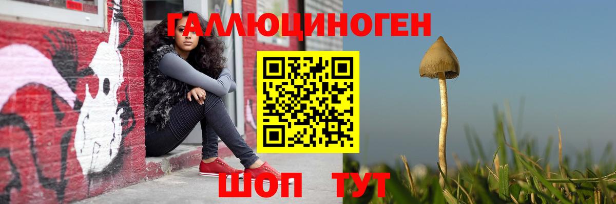 Канаш  Галлюциногенные грибы MAGIC MUSHROOMS  Вход с VPN 